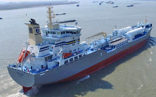 Photo of Tern Ocean
