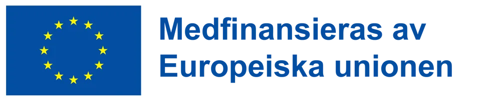 SV Medfinansieras Av Europeiska Unionen POS